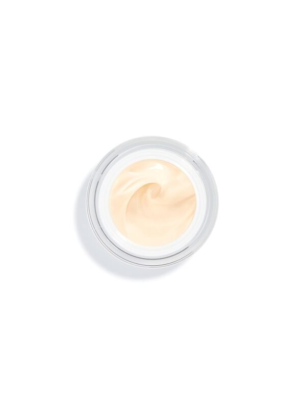 Sisley L'integral Anti-age Eye Contour Cream, 0.5 Ounce - Image 2